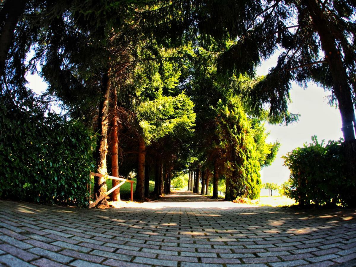 Casa Vacanza Pratolungo Villa Zogno Exteriör bild